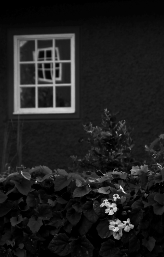 20090907 133egbw